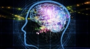 Brain