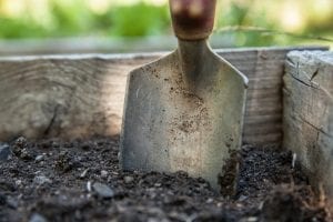Shovel in the garden
