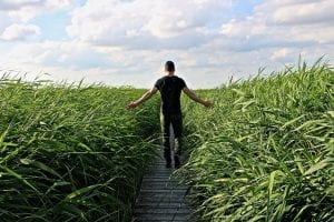 A man walking in high grass