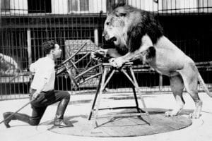 Clyde beatty lion tammer