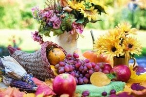 Cornucopia