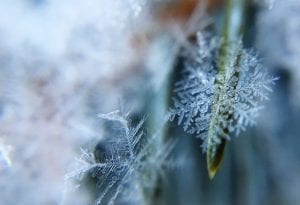 Frost