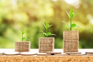 Coins Germination